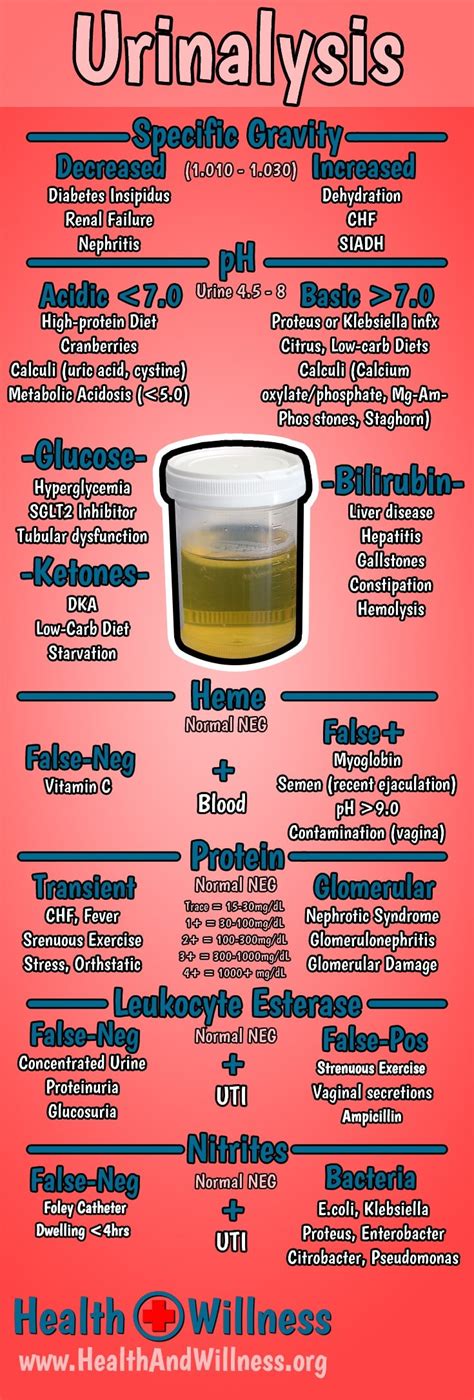 laboratory analysis urine|urine analysis interpretation.